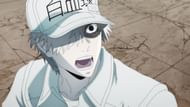 Cells at Work! (Image via David Production)